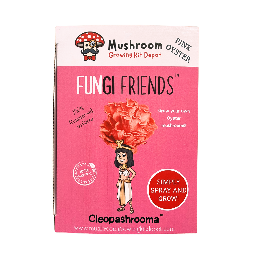 Cleopashrooma - Pink Oyster Mushroom Grow Kit - 5 LBS (with box) featuring Fungi Friends design.