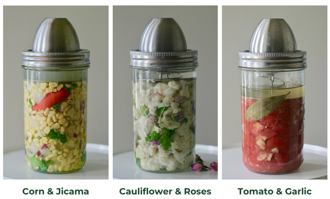 ChouAmi Kit - The Little Fermenter
