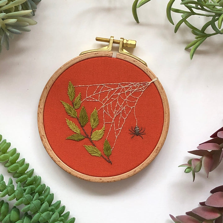 A Spider&