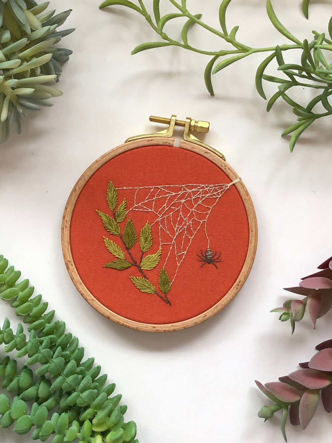 A Spider&