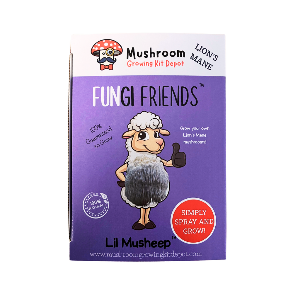 Lil Musheep - Lion's Mane Mushroom Grow Kit - 5 LBS (with box) featuring mascot sheep on packaging.