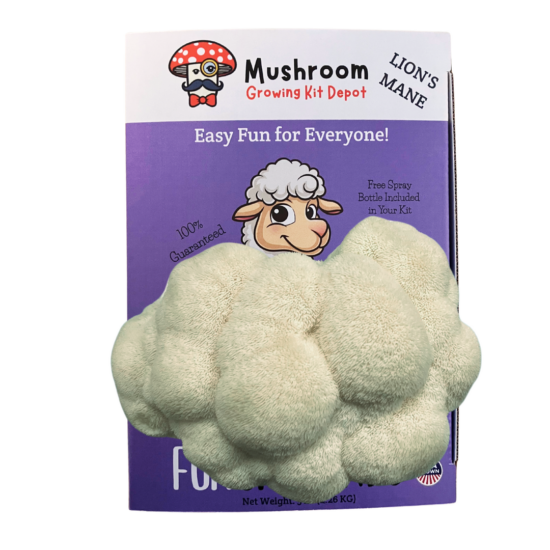 Lil Musheep - Lion's Mane Mushroom Grow Kit - 5 LBS (with box) featuring a lion's mane mushroom and playful design.