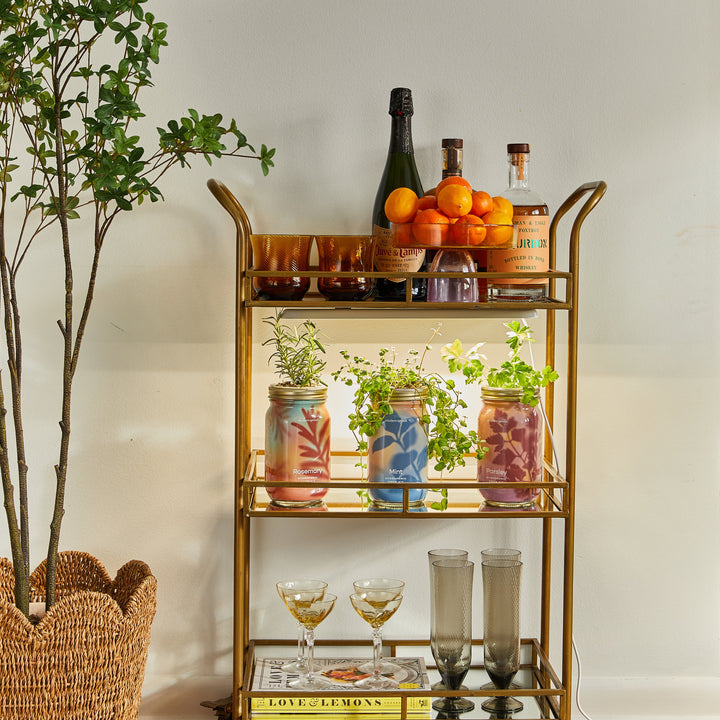 Garden Jars - Organic Herbs