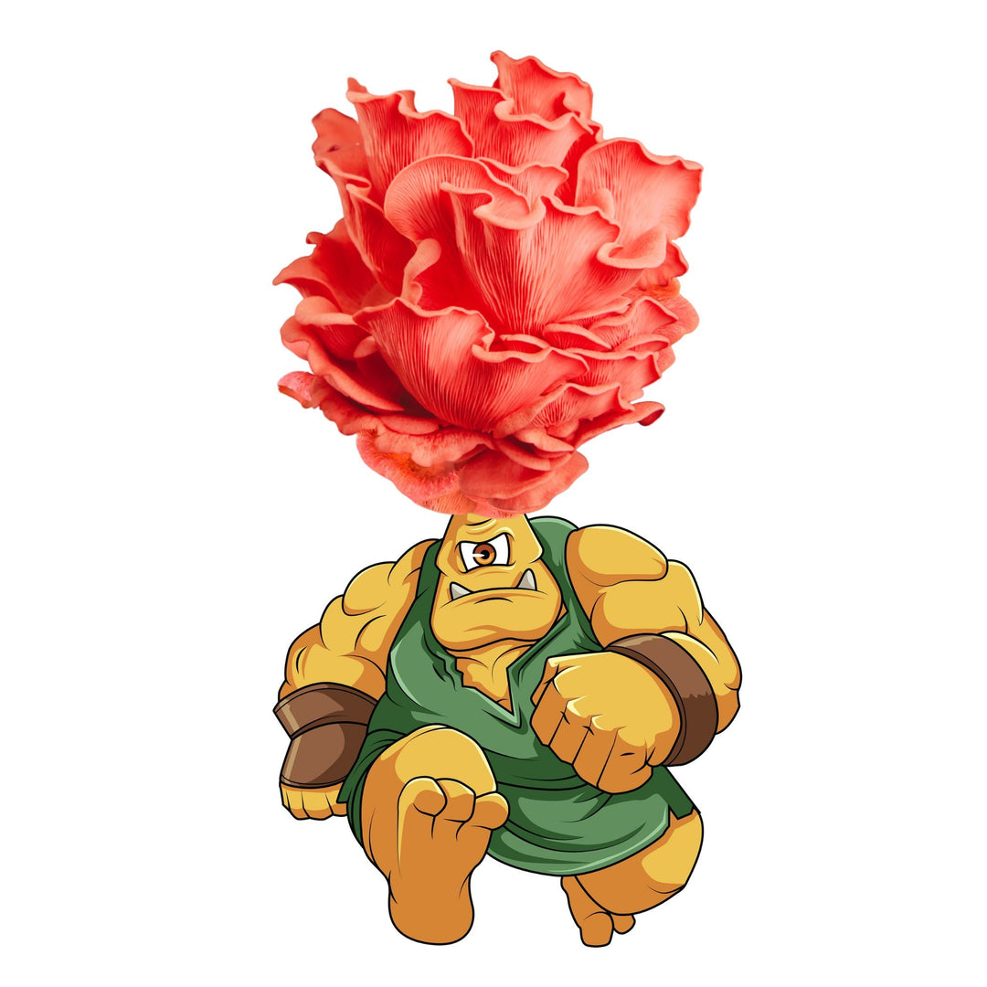 Myclops - Pink Oyster Mushroom Grow Kit - 6.5 LBS featuring a cartoon character with an oyster mushroom head.
