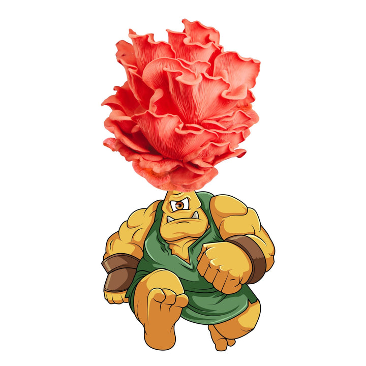 Myclops - Pink Oyster Mushroom Grow Kit - 6.5 LBS featuring a cartoon character with an oyster mushroom head.