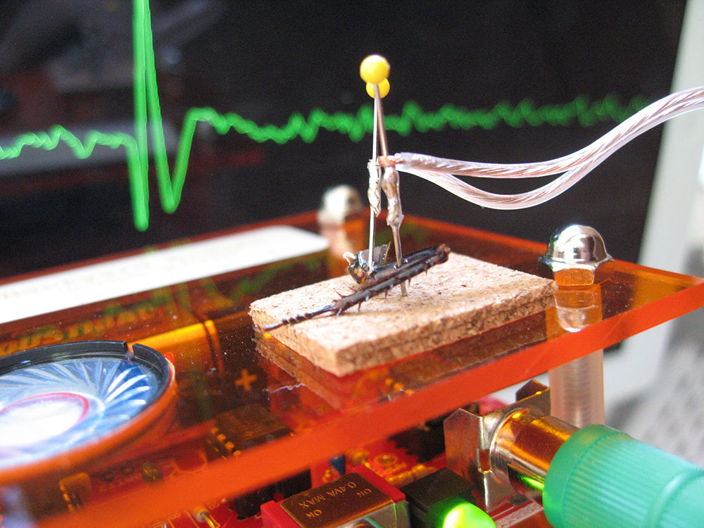 Neuron SpikerBox