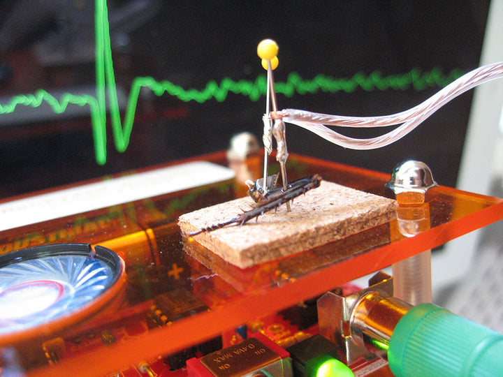 Neuron SpikerBox