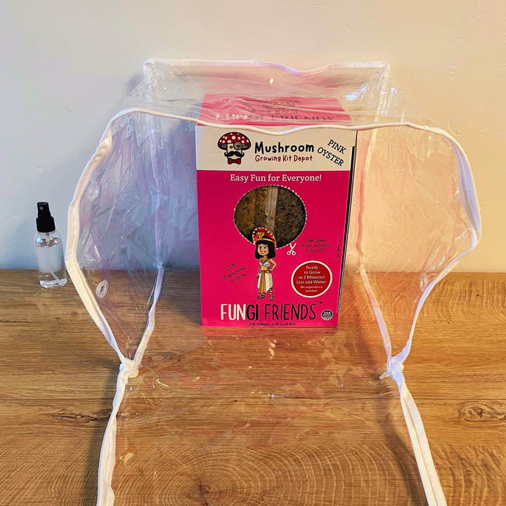 Cleopashrooma - Pink Oyster Mushroom Grow Kit - 5 LBS (with box) displayed with protective cover and misting bottle