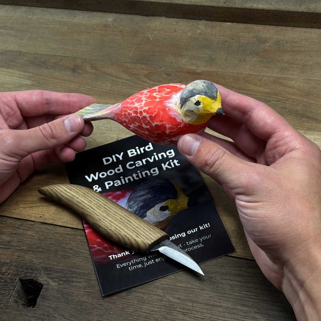 DIY Bird Wood Carving &amp; Painting Kit