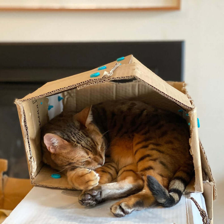 Makedo Explore Kit
