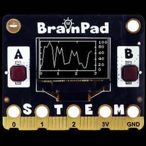 BrainPad Pulse