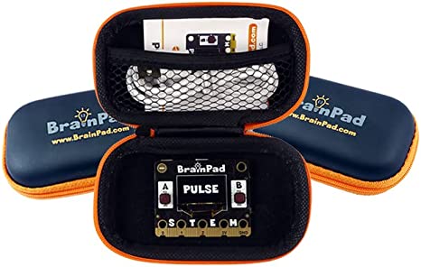 BrainPad Pulse