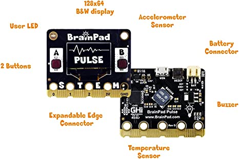 BrainPad Pulse