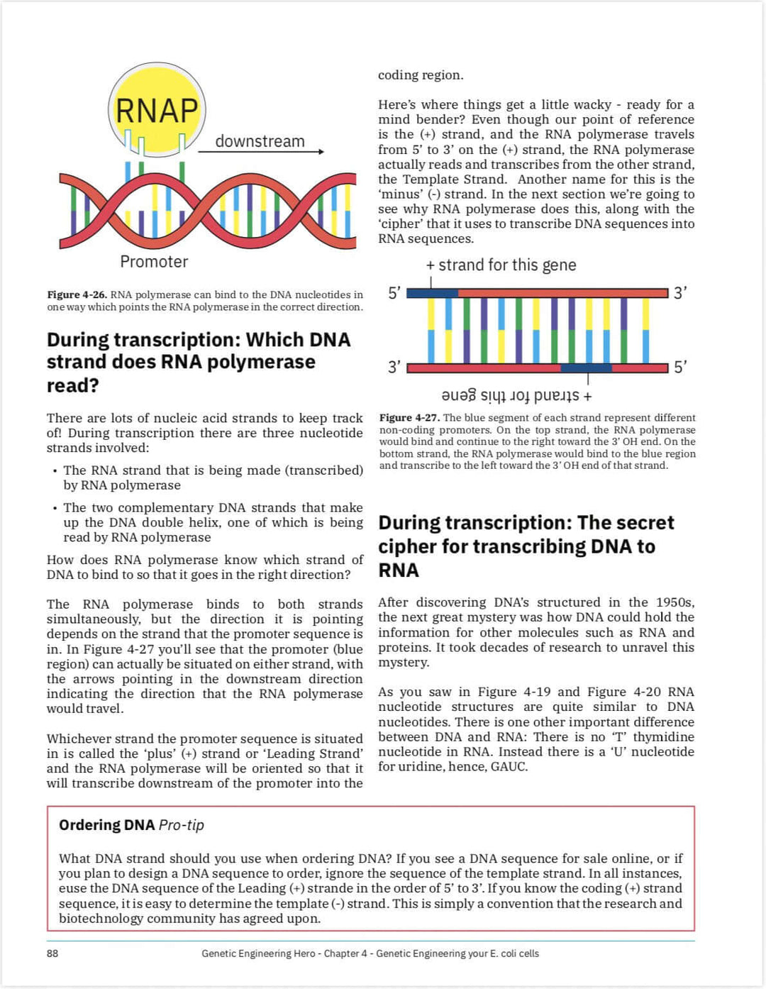 Ordering DNA for beginners Pro-tip, transcription Learn what is DNA, what is a gene, cell theory, genetic engineering, bioart, biotechnology, biohacking and genetic engineering with the world&
