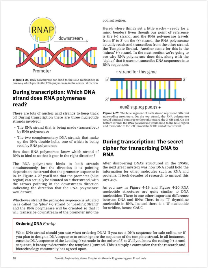 Ordering DNA for beginners Pro-tip, transcription Learn what is DNA, what is a gene, cell theory, genetic engineering, bioart, biotechnology, biohacking and genetic engineering with the world&
