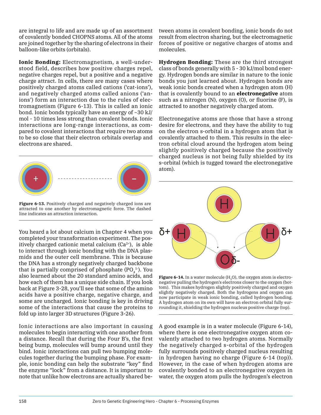Ionic bonding, Hydrogen bonding - Processing Enzymes - Learn what is DNA, what is a gene, cell theory, genetic engineering, bioart, biotechnology, biohacking and genetic engineering with the world&
