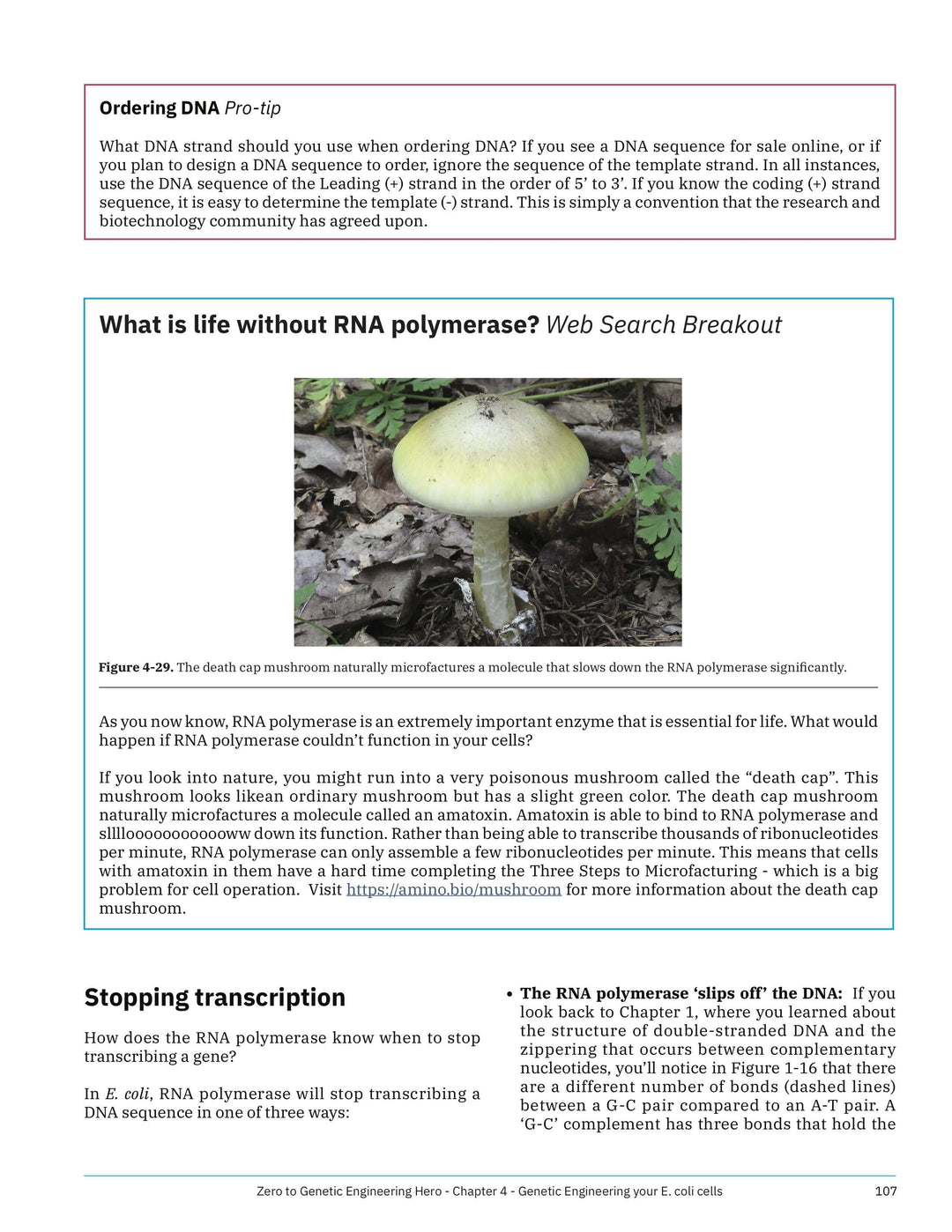 Ordering DNA for beginners, RNA polymerase - Learn what is DNA, what is a gene, cell theory, genetic engineering, bioart, biotechnology, biohacking and genetic engineering with the world&