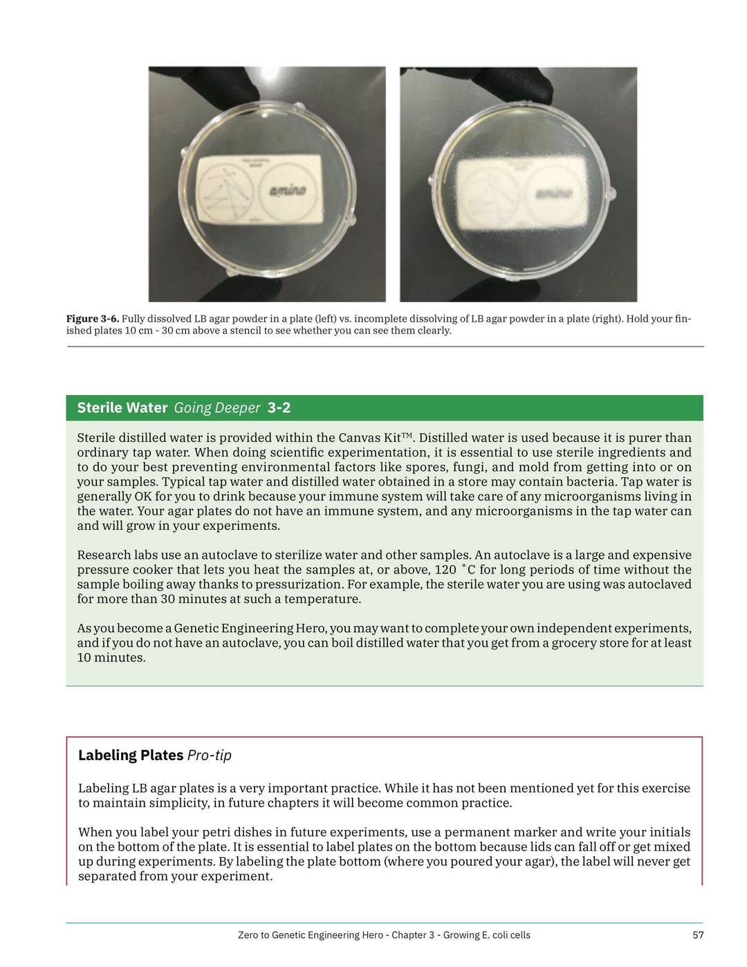 LB agar petri dishes - Sterile water - Learn what is DNA, what is a gene, cell theory, genetic engineering, bioart, biotechnology, biohacking and genetic engineering with the world&