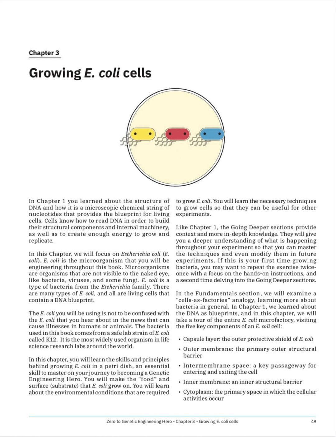 Growing e. coli cells/e. coli bacteria -Learn what is DNA, what is a gene, cell theory, genetic engineering, bioart, biotechnology, biohacking and genetic engineering with the world&